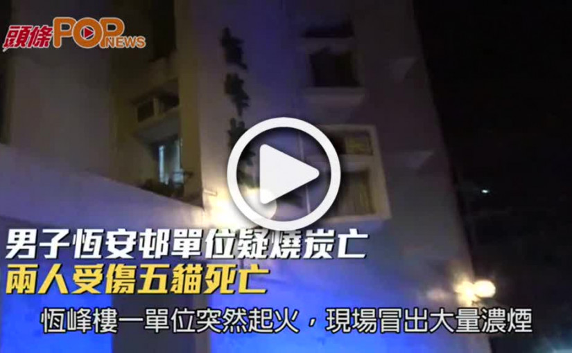 男子恆安邨單位疑燒炭亡  兩人受傷五貓死亡