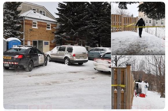 Collingwood夜半槍響雪地伏屍