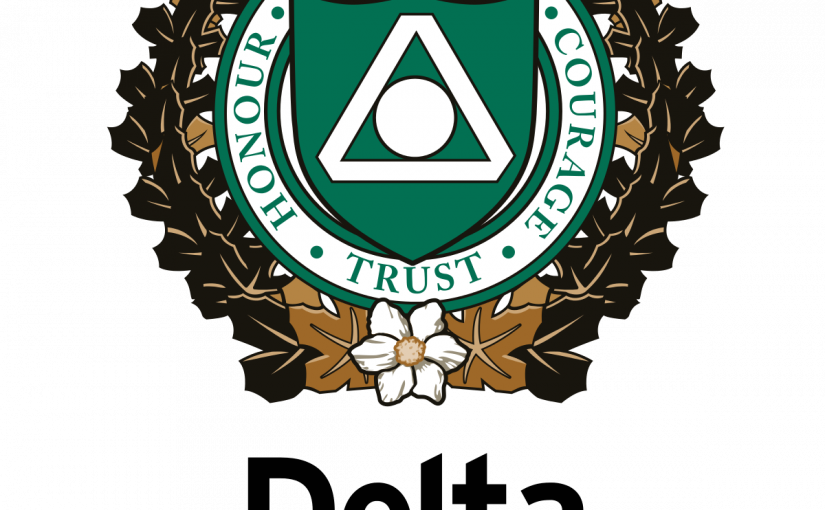 三角洲財物罪案減少 路邊暫停車牌數字就上升