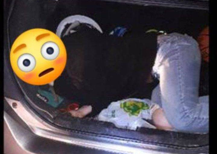 阿波斯福有汽車車尾箱載乘客 司機被罰超過$300元