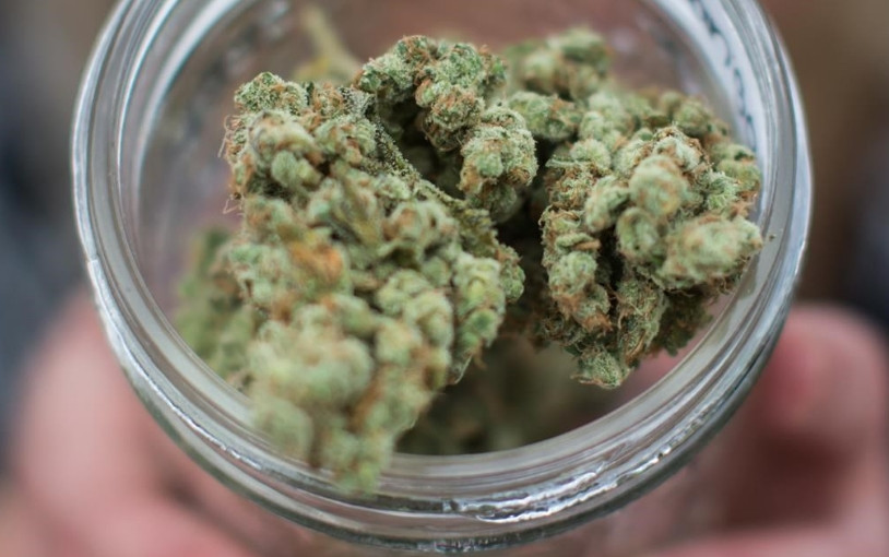 安省宣佈大麻零售許可證抽籤結果