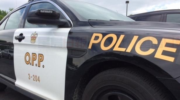 警方在安省各地的汽車經銷商處檢獲毒品