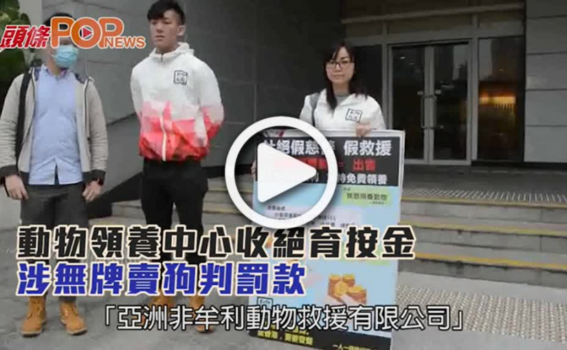 動物領養中心收絕育按金      涉無牌賣狗判罰款