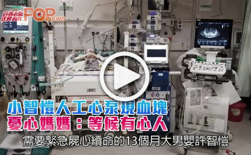 小智愷人工心泵現血塊  憂心媽媽：等候有心人