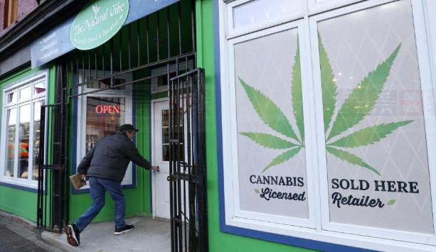 460萬國民上季曾吸食大麻    僅26％休閑大麻購自合法渠道