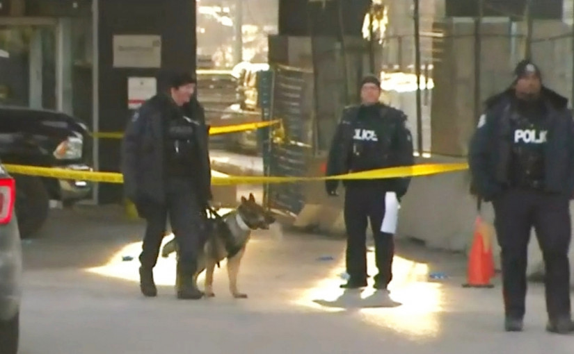 妙齡女子派對後回家  平治內遭轟多槍危殆