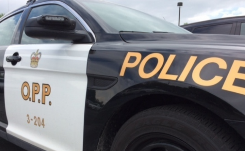 多倫多男子在401高速被撞倒 當場死亡