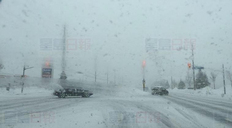 皮爾區校巴停駛  50公里強風持續