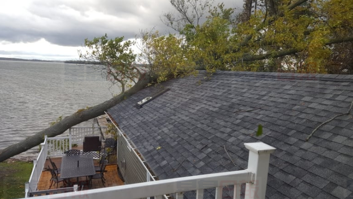 塌樹毀屋政府不批准維修  原來買的是違規物業