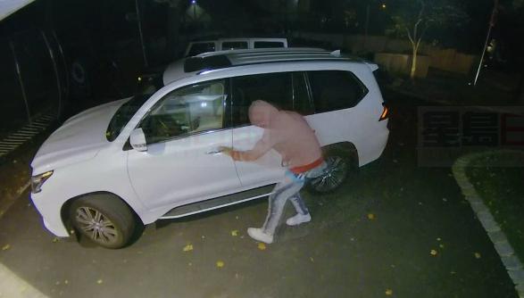 【有片】偷車賊緊盯凌志豐田SUV  月初多輛被偷