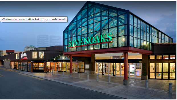 阿波斯福女子持槍闖入購物中心被捕