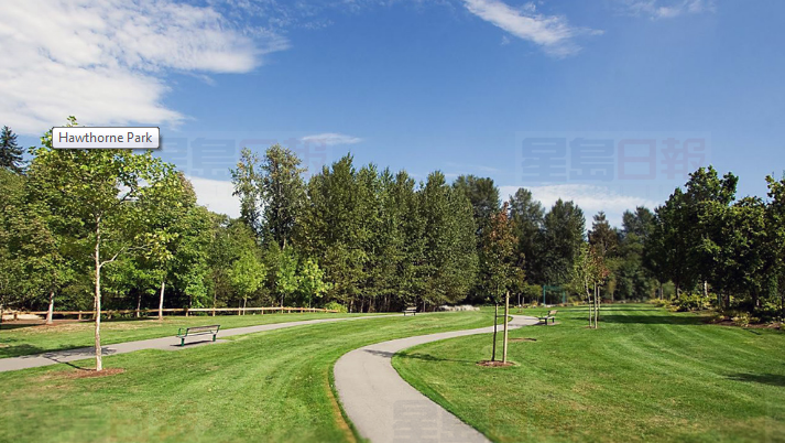 素里市槍擊案 警緝兩男子