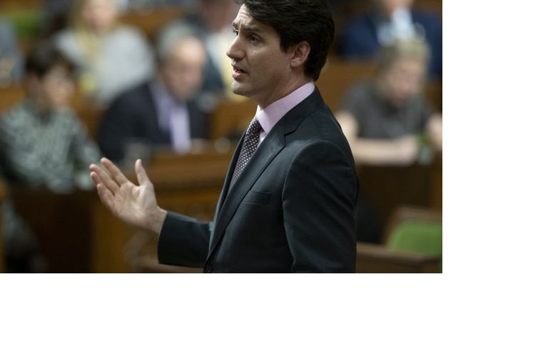 自由黨推出第一支競選年廣告   宣傳氣候變化政綱