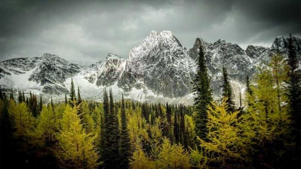 卑詩省政府擬向六個受保護公園增加約107公頃土地