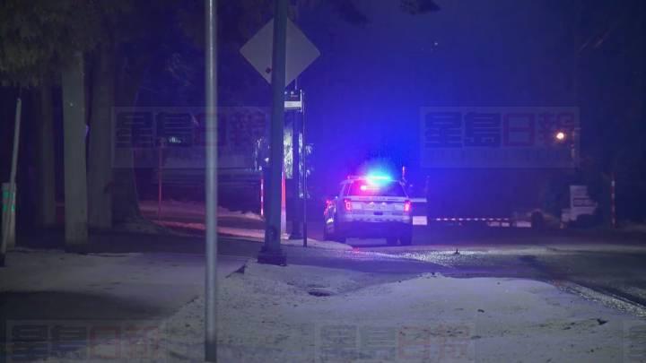 本拿比騎警拘捕三名在公園內燒槍的男女