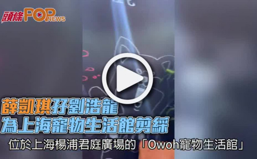 薛凱琪孖劉浩龍        為上海寵物生活館剪綵