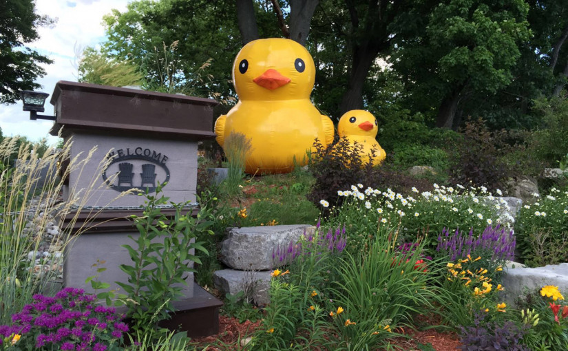 帶小朋友走出市區！ 多倫多附近5個必去親子營地