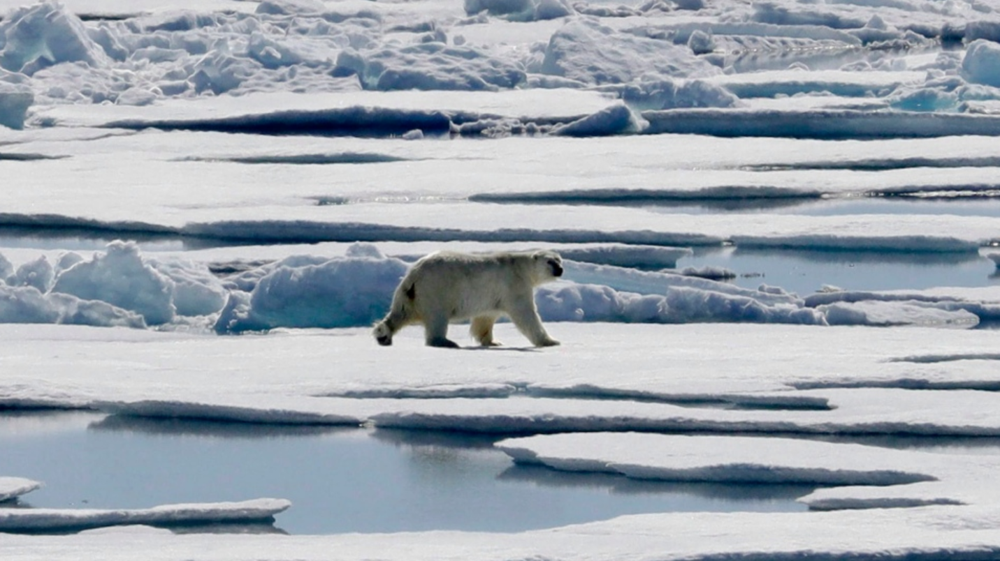 加國氣候變暖速度較其他國家快1倍 趨勢難逆轉