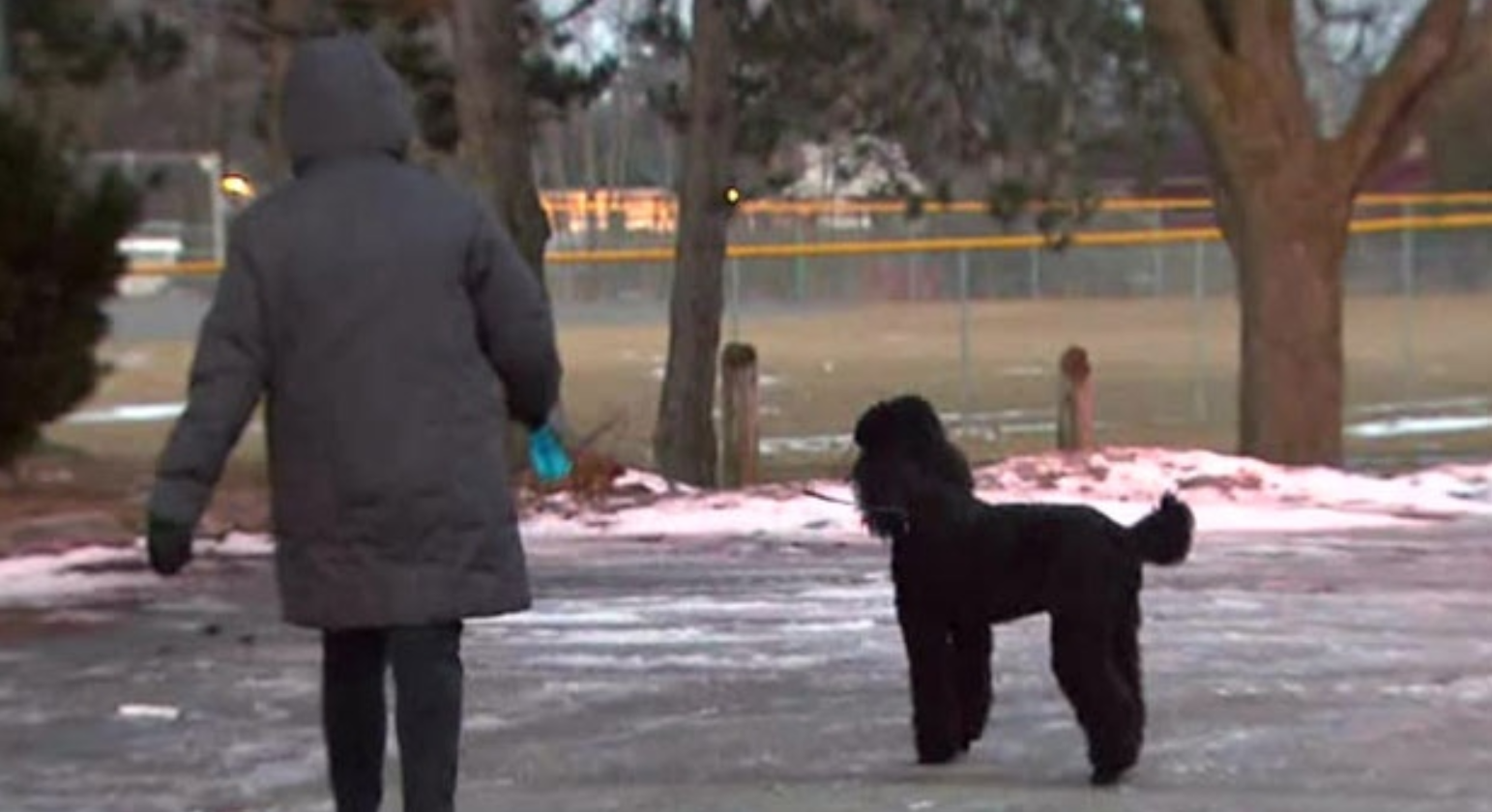 約克區公園有寵物中毒 警方正調查