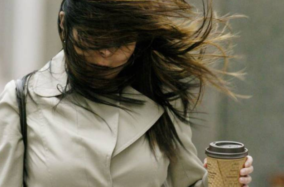 多倫多今日吹強風  部分地區颳80公里陣風