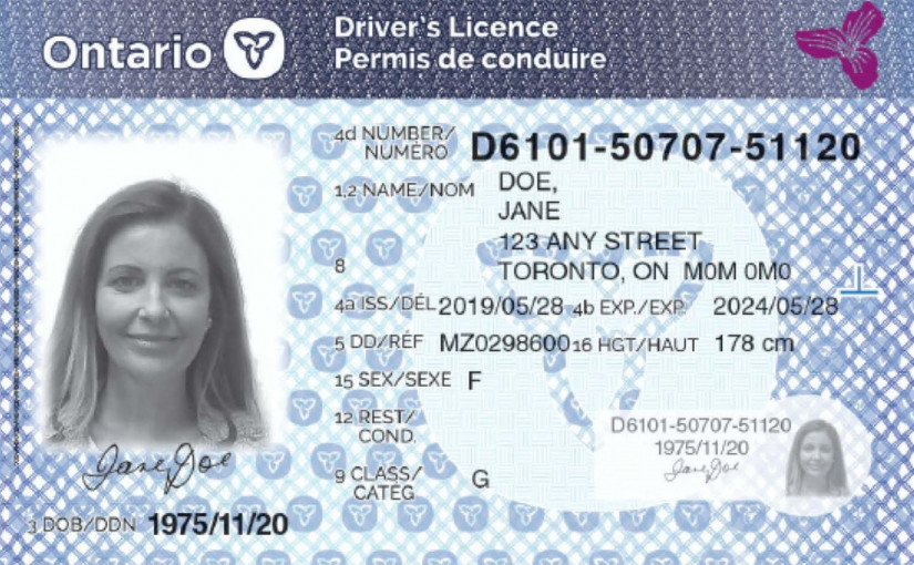 安省駕駛執照  秋季換新裝
