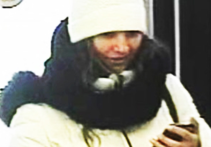 3雌雄盜賊約克區停車場犯案  稱車主輪胎漏氣聲東擊西下手