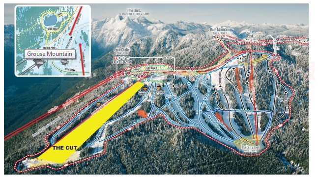 北溫松雞山滑雪意外 騎警找尋涉事人