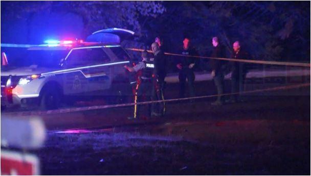 素里市2019年首季暴力罪案增加43%