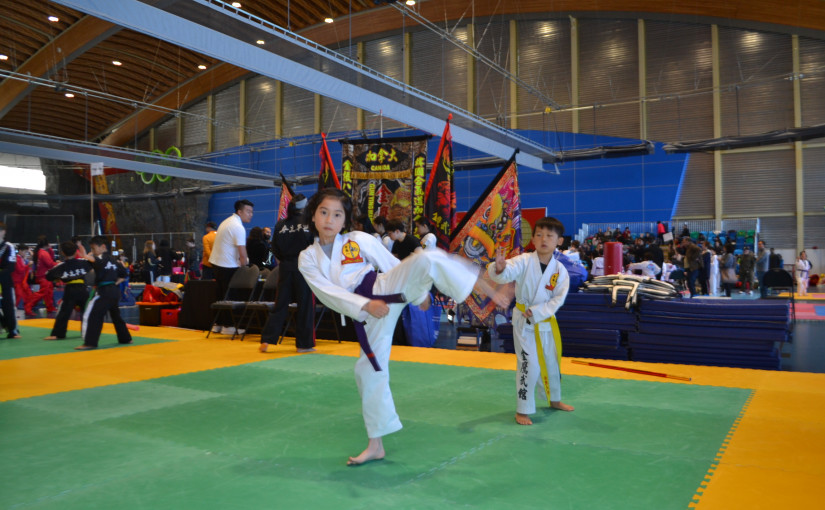 第40屆加美國際武術錦標賽開賽