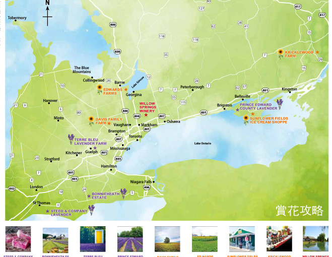 賞花地圖攻略
