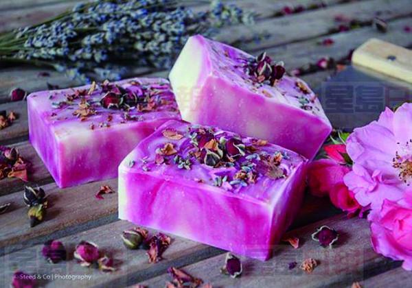 夏賞薰衣草 （西）