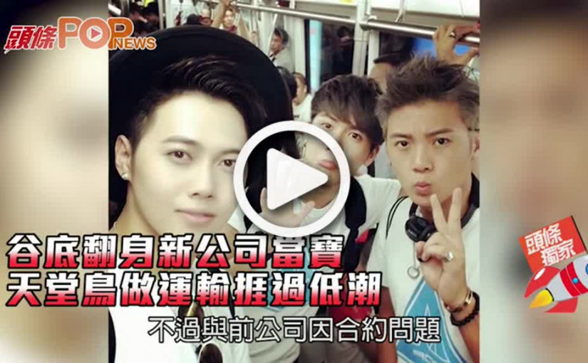 谷底翻身新公司當寶          天堂鳥做運輸捱過低潮