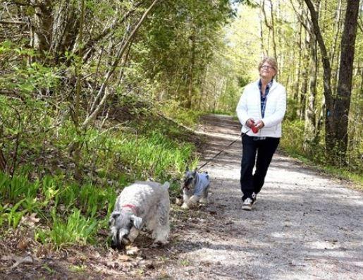約克區未來8年種植逾70萬棵樹