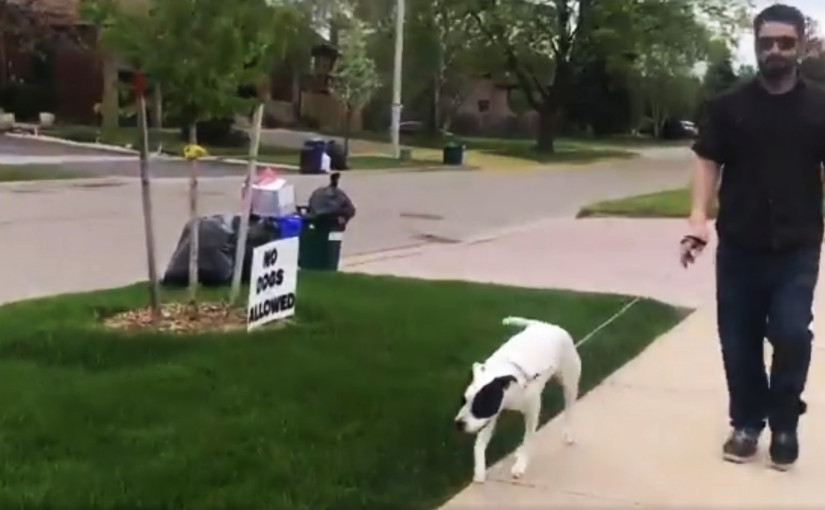 【有片】約克屋主前院展「禁狗牌」  有機會罰485元