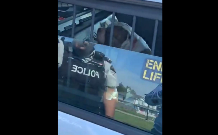 素里市犬隻襲擊市民 兩人受傷