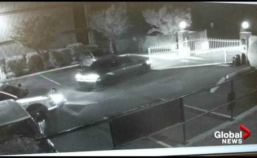 素里市騎警在一項調查中 從一部車內搜出槍械