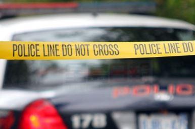 【更新】省警證小貓藏車內後跌出公路死  非司機拋小貓出車