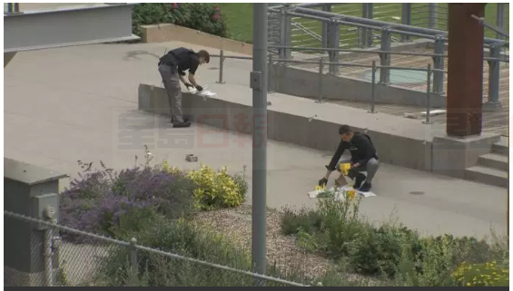 二埠打架事故 多名少年圍觀