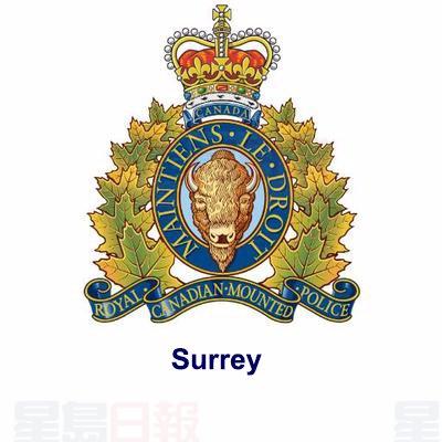 素里傷人案 一人被捕