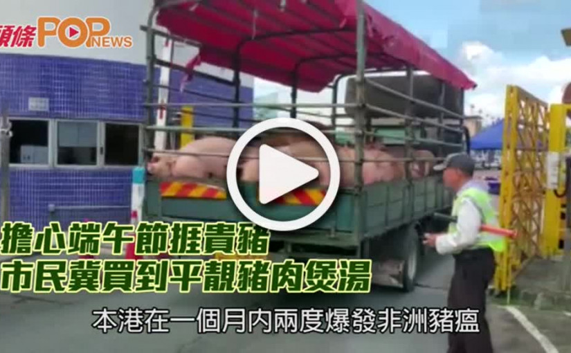 擔心端午節捱貴豬                市民冀買到平靚豬肉煲湯