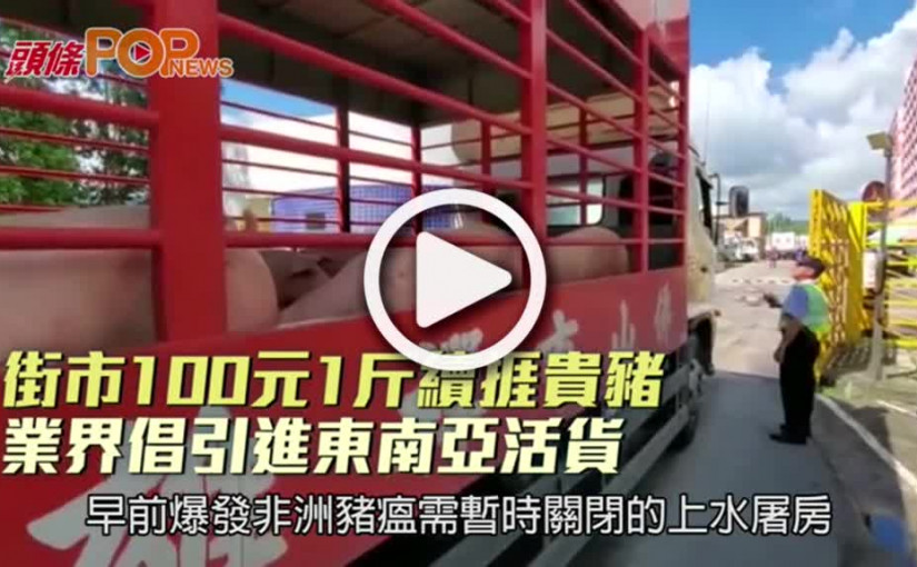街市100元1斤續捱貴豬  業界倡引進東南亞活貨