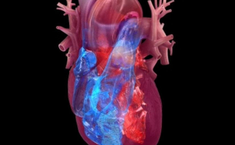 研究發現精神與身體壓力觸發心臟綜合症