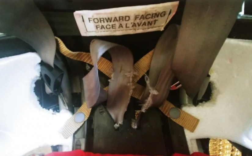 Evenflo兒童汽車座椅安全受質疑 運輸部正式調查