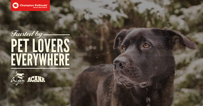 這些品牌的狗食或和致命犬科疾病有關