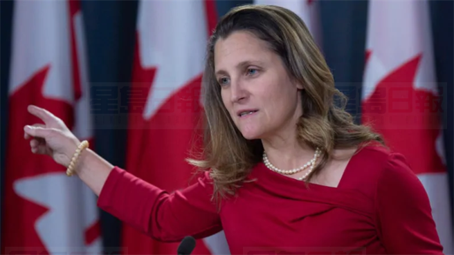 麥家廉又惹事  方慧蘭撇清：他言論不代表加國政府