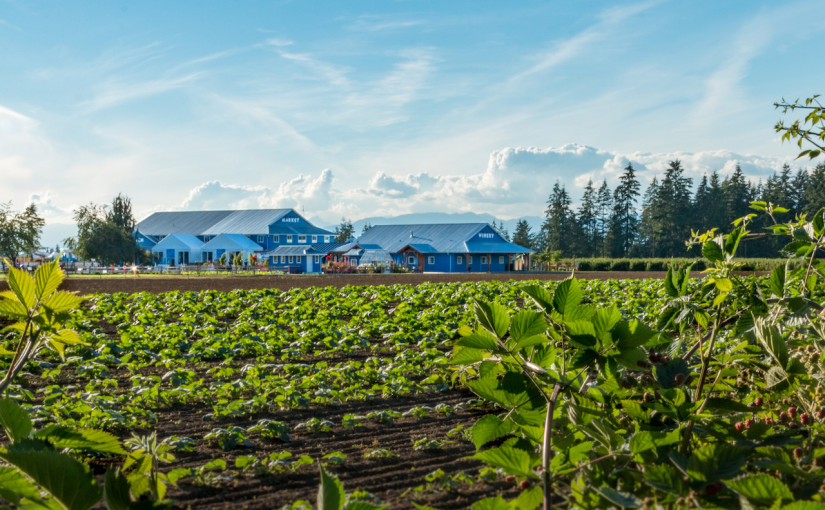 重男輕女！兄弟分93%遺產  女兒僅得7%   法官為其平反