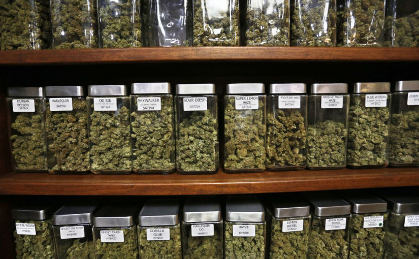 合法和黑市大麻價格差距快達一倍