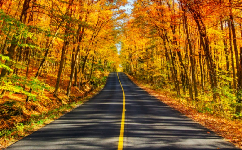 氣象專家稱今個秋季較過往和暖