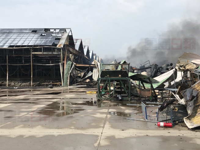 安省花卉農場發生巨大火災 125名消防員徹夜救火