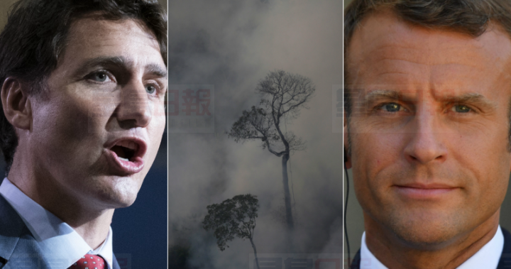 協助撲滅亞馬遜大火  聯邦撥款1,500萬元